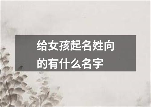 给女孩起名姓向的有什么名字