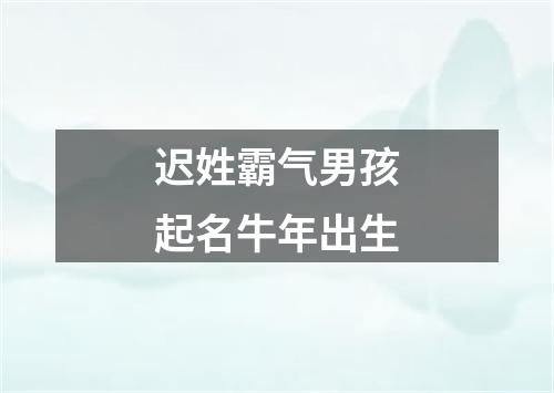 迟姓霸气男孩起名牛年出生