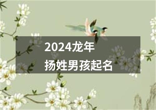 2024龙年扬姓男孩起名