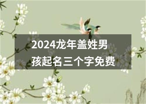 2024龙年盖姓男孩起名三个字免费