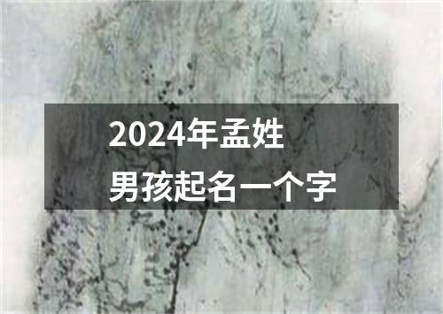 2024年孟姓男孩起名一个字