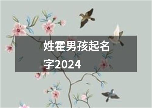 姓霍男孩起名字2024