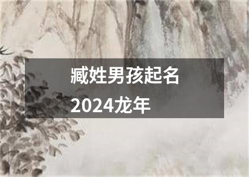 臧姓男孩起名2024龙年