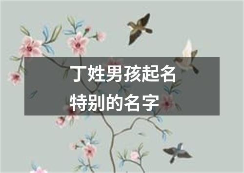 丁姓男孩起名特别的名字