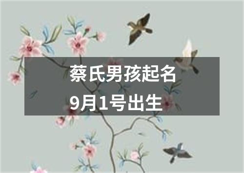 蔡氏男孩起名9月1号出生