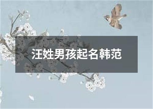 汪姓男孩起名韩范