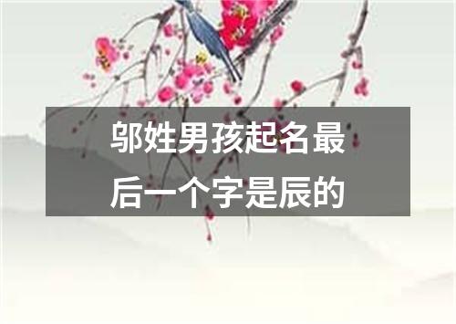 邬姓男孩起名最后一个字是辰的