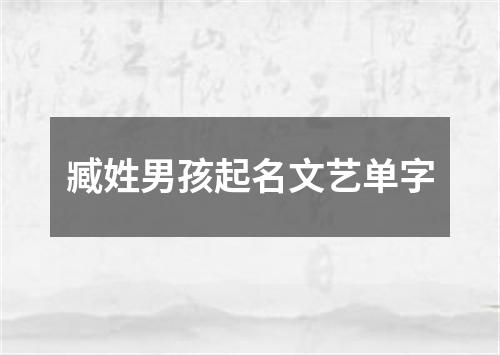 臧姓男孩起名文艺单字