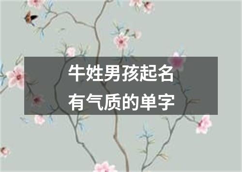 牛姓男孩起名有气质的单字