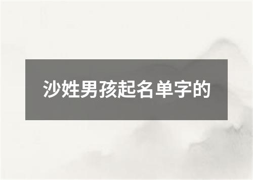 沙姓男孩起名单字的