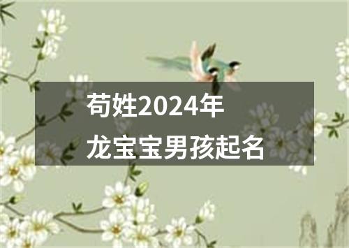 苟姓2024年龙宝宝男孩起名