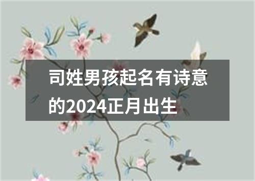 司姓男孩起名有诗意的2024正月出生