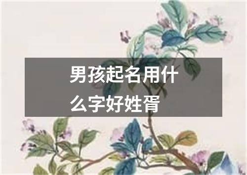 男孩起名用什么字好姓胥