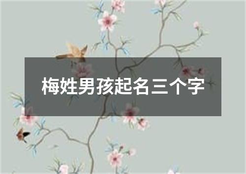 梅姓男孩起名三个字