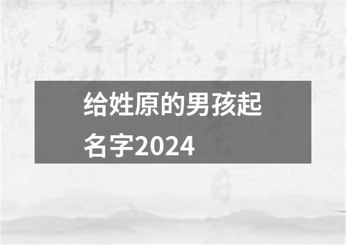 给姓原的男孩起名字2024