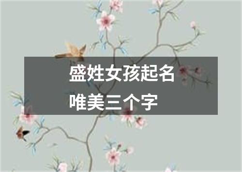 盛姓女孩起名唯美三个字