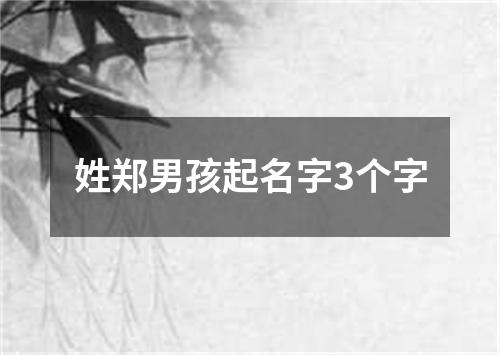 姓郑男孩起名字3个字