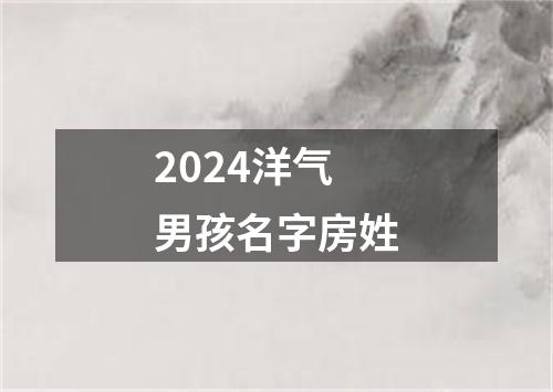 2024洋气男孩名字房姓