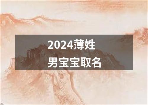 2024薄姓男宝宝取名