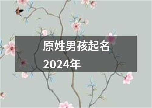 原姓男孩起名2024年