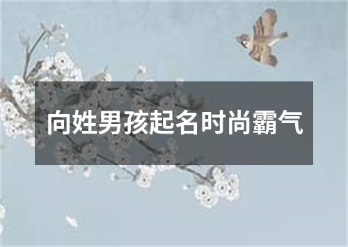 向姓男孩起名时尚霸气