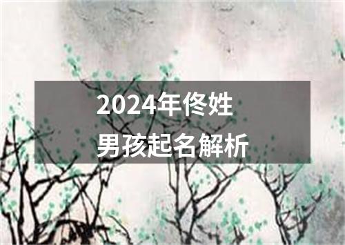 2024年佟姓男孩起名解析