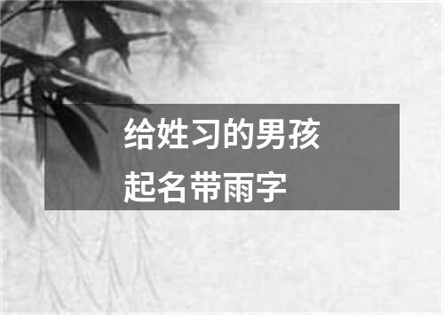 给姓习的男孩起名带雨字