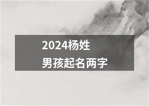 2024杨姓男孩起名两字