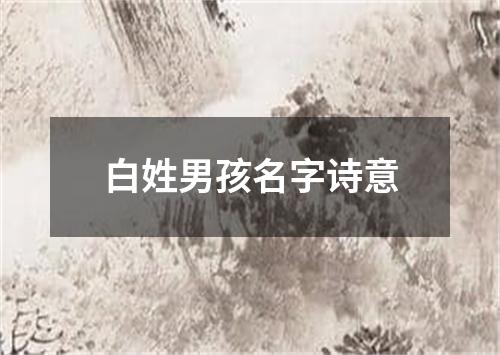 白姓男孩名字诗意