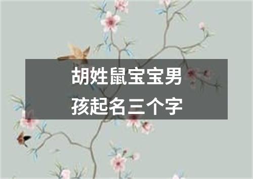 胡姓鼠宝宝男孩起名三个字