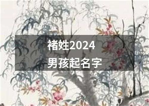 褚姓2024男孩起名字