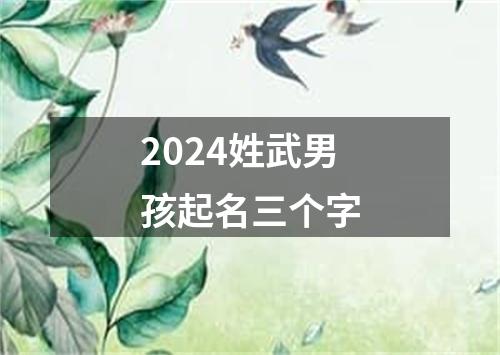 2024姓武男孩起名三个字