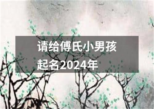 请给傅氏小男孩起名2024年