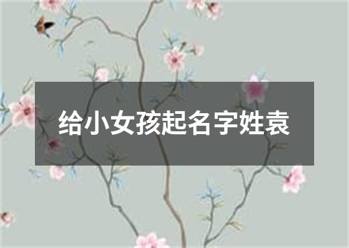 给小女孩起名字姓袁