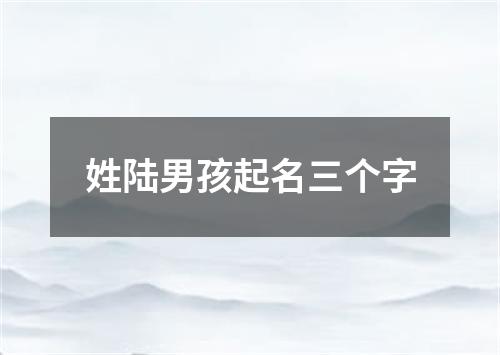 姓陆男孩起名三个字