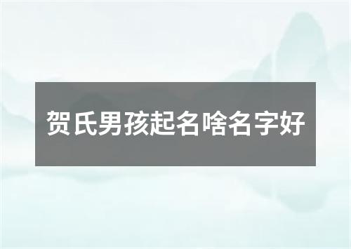 贺氏男孩起名啥名字好