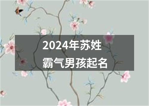 2024年苏姓霸气男孩起名