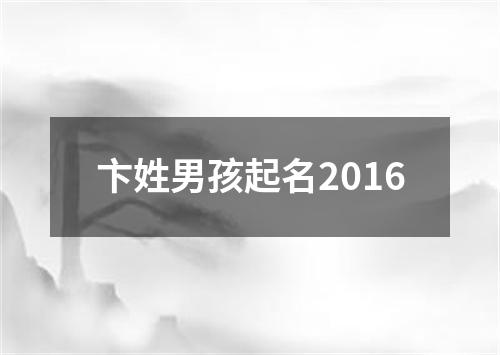 卞姓男孩起名2016