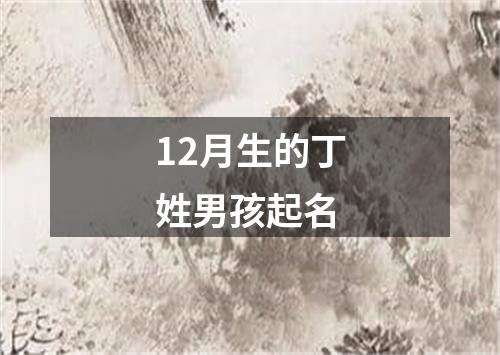 12月生的丁姓男孩起名