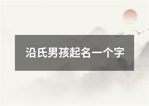 沿氏男孩起名一个字