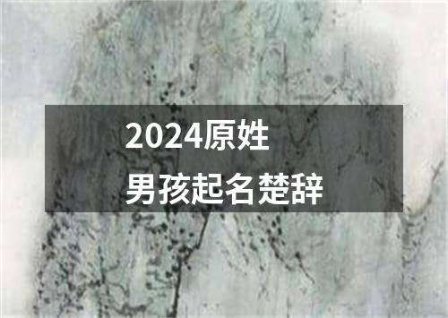 2024原姓男孩起名楚辞