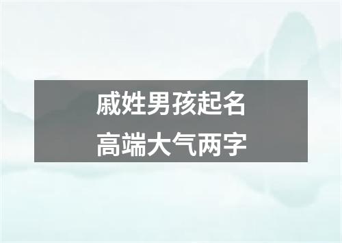 戚姓男孩起名高端大气两字