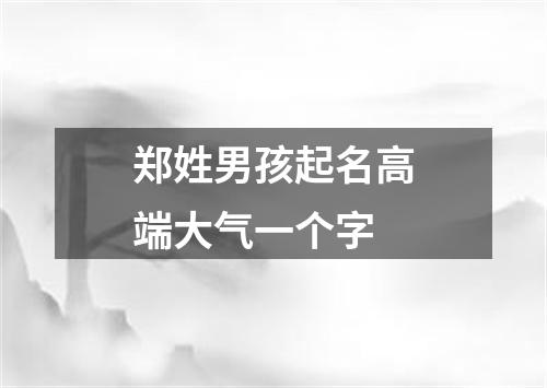 郑姓男孩起名高端大气一个字