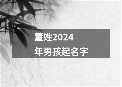 董姓2024年男孩起名字