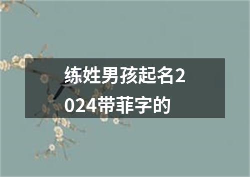 练姓男孩起名2024带菲字的