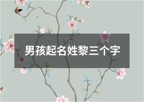 男孩起名姓黎三个字