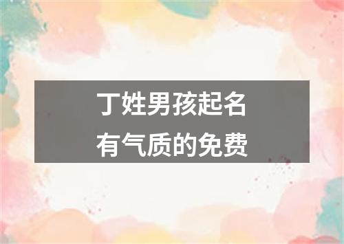 丁姓男孩起名有气质的免费