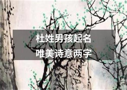 杜姓男孩起名唯美诗意两字