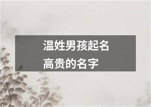 温姓男孩起名高贵的名字