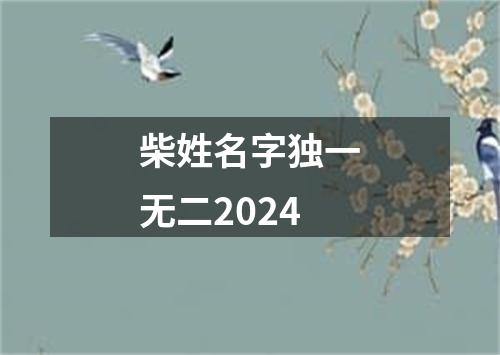 柴姓名字独一无二2024